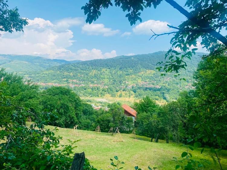 Teren 4176 mp Valea Doftanei (Teșila) – vedere panoramică, toate utilitățile - 5