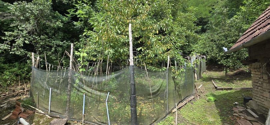 Casa de vanzare, zona Alexandru cel Bun, Sighisoara - 10