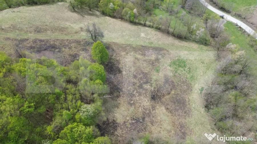 Teren extravilan 3.38 ha, zona naturala superba, Almasu M - 3