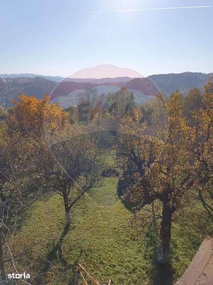 Teren de 4972 mp, în Bertea
