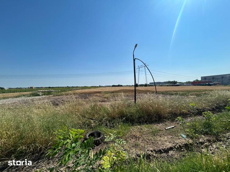 Teren de 11000 mp, în Frumușani