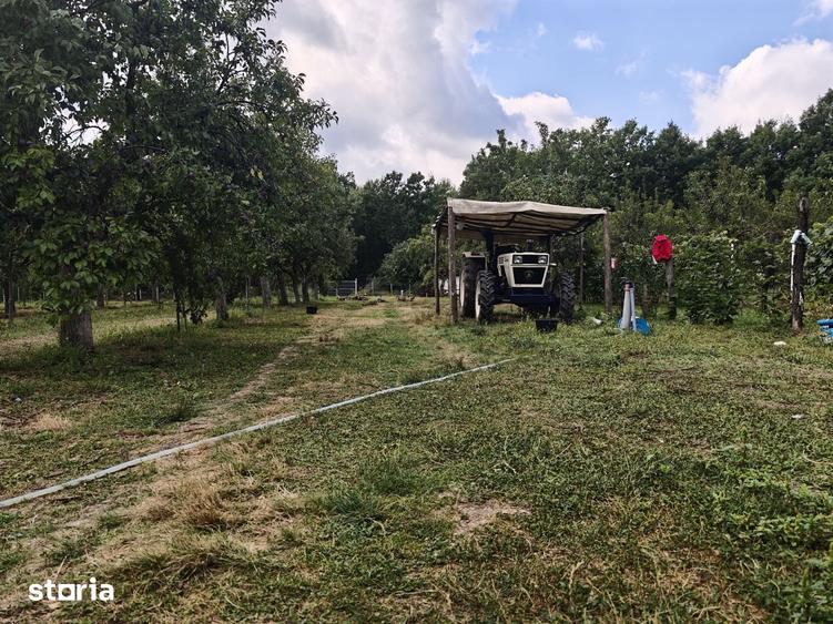 Casă cu 4 camere cu Teren 6000 Mp în Mărășești