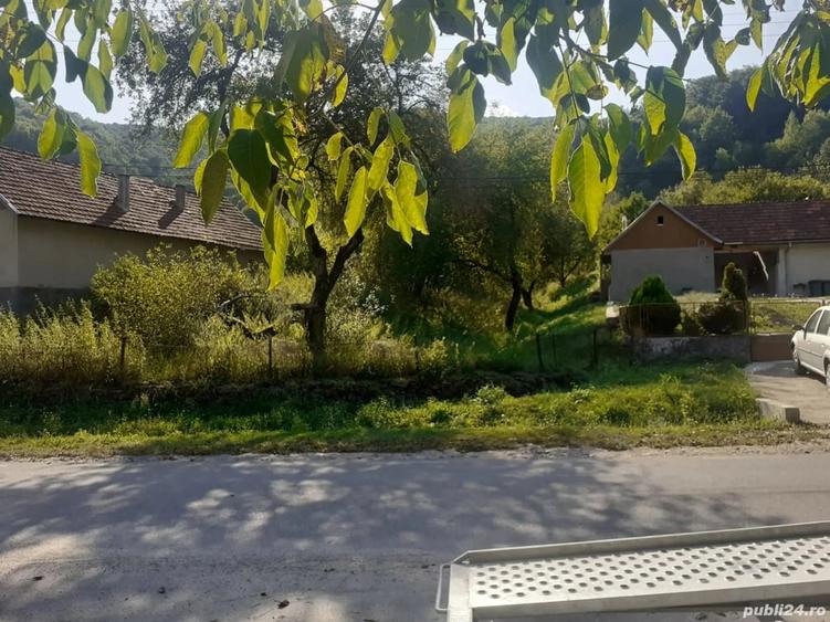 Teren de 6470 mp, în Nădrag