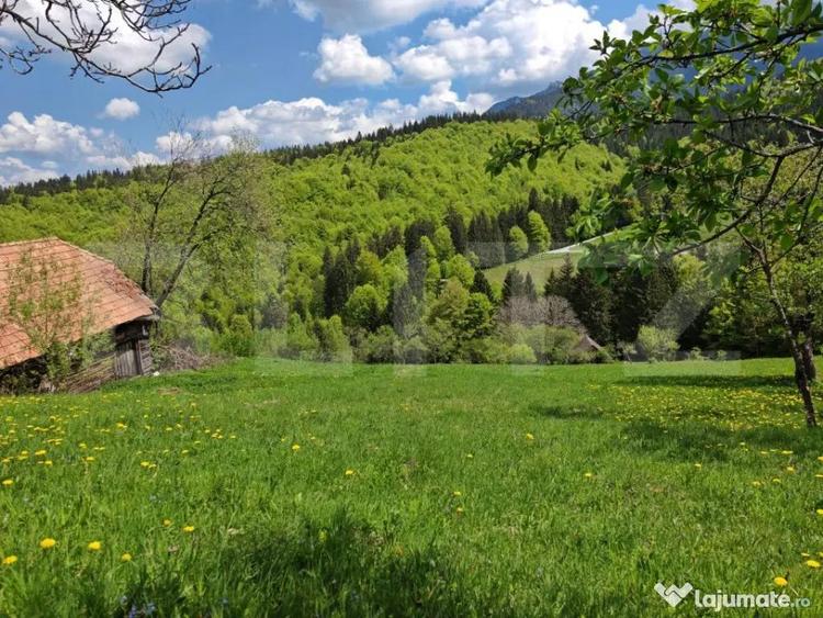 Teren de 3400 mp, în Bran