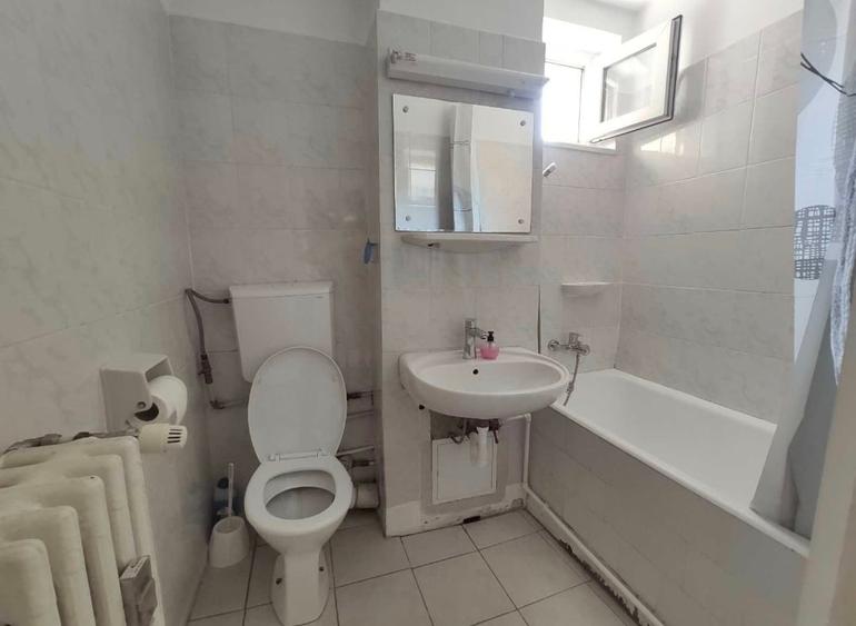 Obor, Colentina, stradal, Teiul Doamnei 15 minute metrou - 8