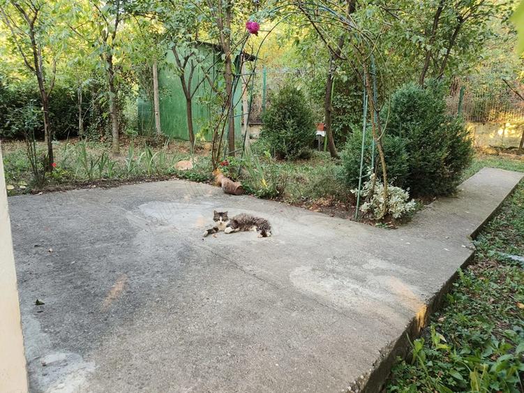 Casa cu garaj de vanzare in ?tefane?ti - Arge? | Proprietar - 5