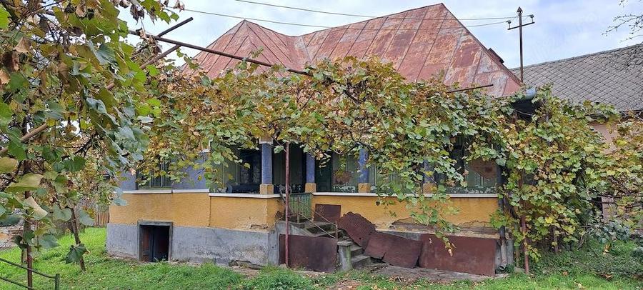 Vand teren + casa batraneasca + ?ura + anexe in Ocoli?, jud. Maramure? - 8