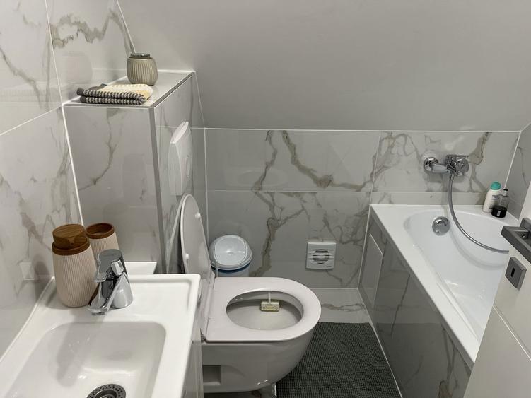 Vand casa in Satu Nou de Jos - 8