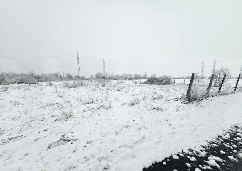 Teren Ronat Timisoara - 3