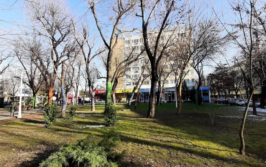 Spatiu comercial de inchiriat pe Bulevardul Garii Obor 10 - 4