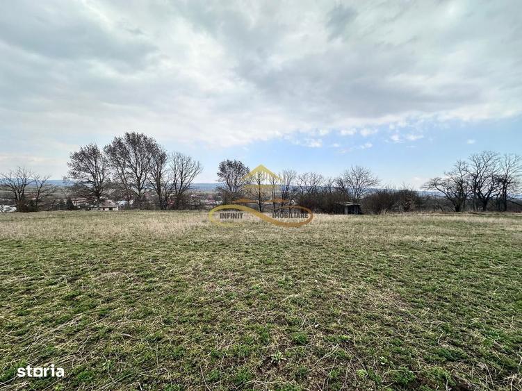 Teren de vanzare Blagesti Bacau - 4
