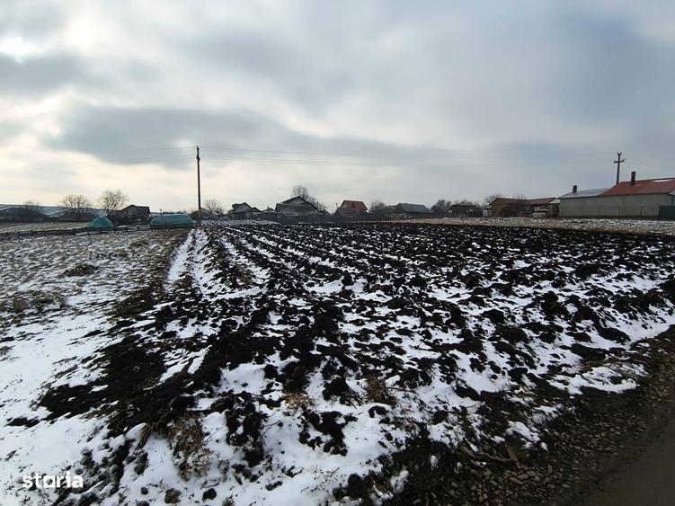 Teren 991 MP | Moara Nica | 22 ml Deschidere | Utilita?i | 38.000 - 5