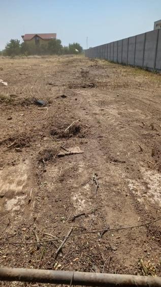 Teren Construcții intravilan de 575 mp, în Berceni