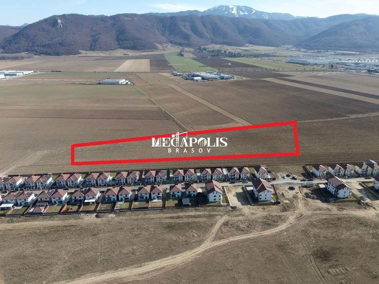 Teren 12.500 mp Ghimbav – Cartierul Florilor | Ghimbav | Brașov - 6