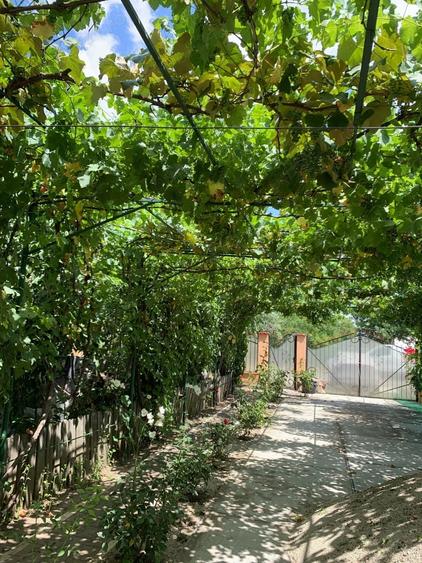 casa vacanza Iepuresti(Giurgiu) - 1