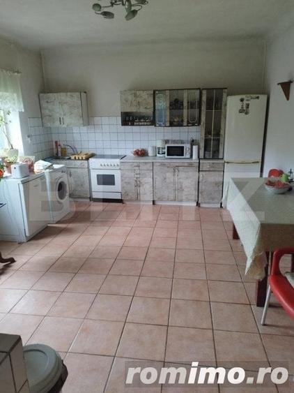 Casa pitoreasca in Viile Tecii cu o gradina de 26 de arii - 8