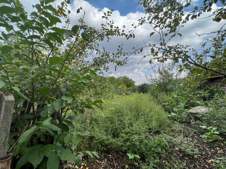 Comision 0 - Centru - Sanandrei - Teren 1850 mp + Casa 5 camere - 3