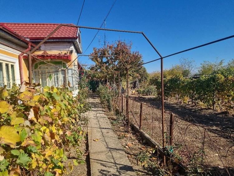 Vand Casa 4 camere Farcasele Olt - 6