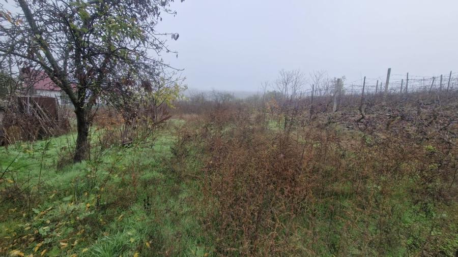 MINERI - CASA 4 CAMERE SUPRAFATA 97 MP, TEREN 3300 MP - 15