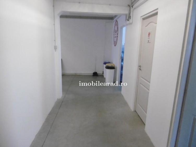 Hale de închiriat in Arad diverse zone aproape de autostrada A1 - 1