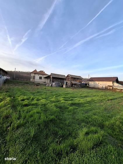 4.443 mp pozi?iona?i direct la DJ678A, cu 39,57 m front stradal . - 8