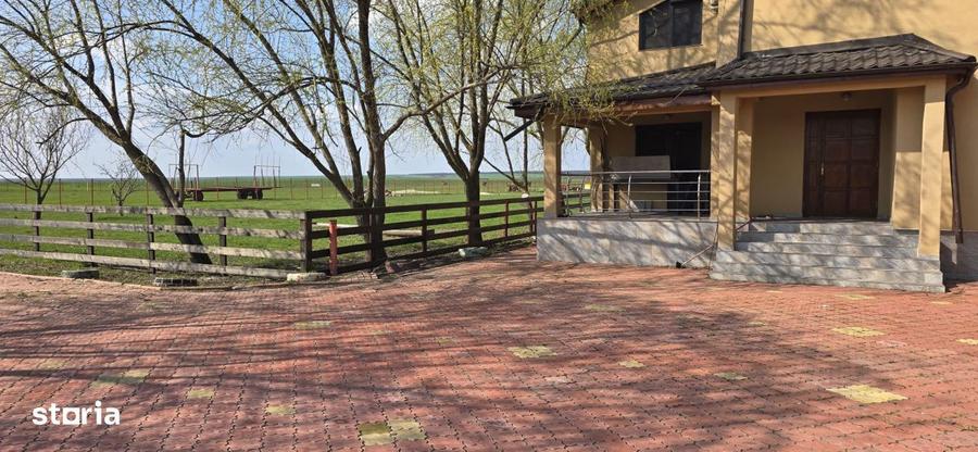 Ferma Zootehnica de Vanzare 6 Ha | Vaci si Oi | Grajd si Saivane | Cal - 5
