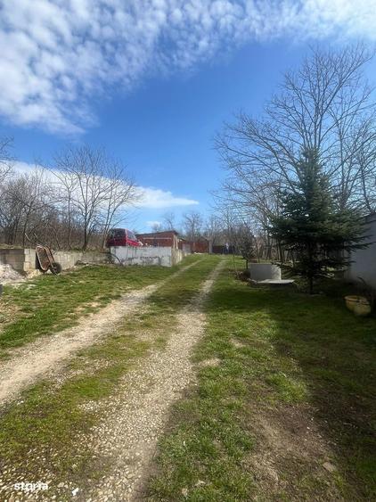 Casa cu 2 locuin?e, teren intravilan 7062 mp Cetariu, Bihor - 10