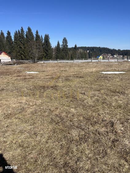 Teren Intravilan de 1000 mp , zona centrala , Copcea , Marisel - 2