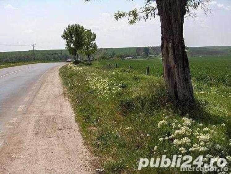 Vand teren stradal Alexandria, Teleorman - 5