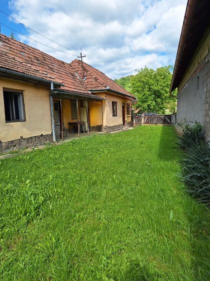 Casa de vanzare cu teren in Cinta - 3