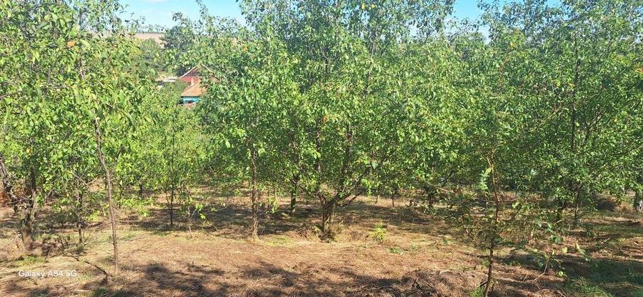 Schimb /Teren intravilan Ghercesti+casa la tara cu livada icoana Olt - 2