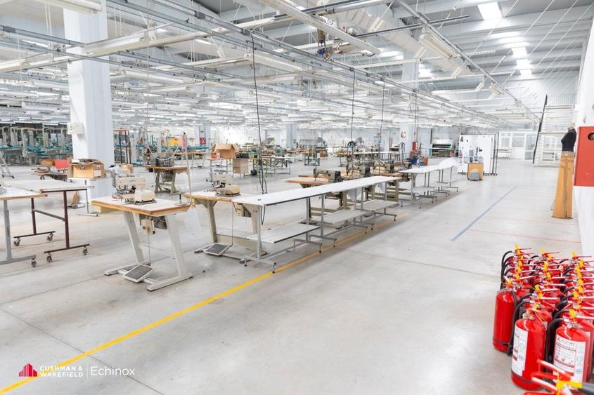 Timișoara - Depozit și birouri de vânzare - 3