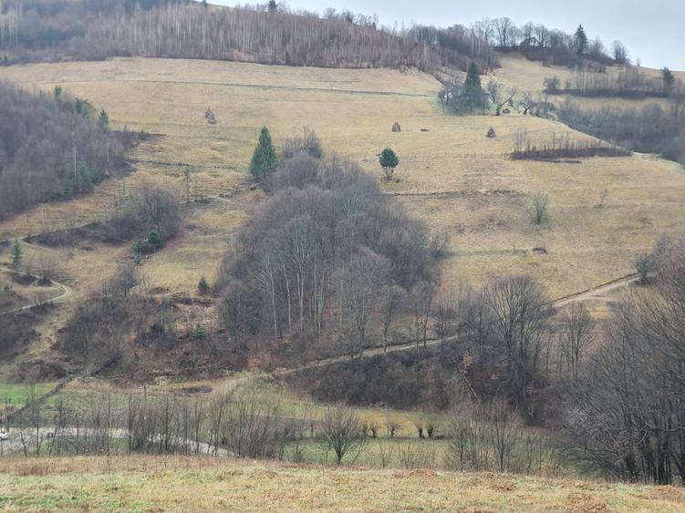 Teren Poiana Marului pretabil investitie 5 euro/mp - 1