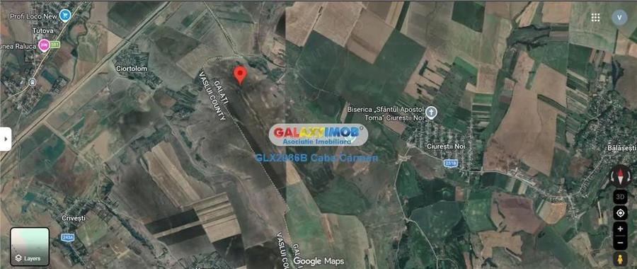 De vanzare teren agricol, extravilan in Loc. Balasesti, Jud. Galati - 3