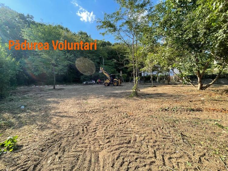 Vand teren la pădure,zona Matei Millo,Erou Mircea Marinescu,Voluntari - 1