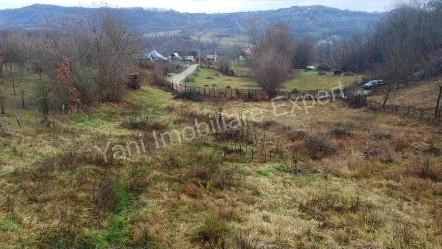 Teren de vanzare in comuna Valea Iasului, jude? Arge?. - 6