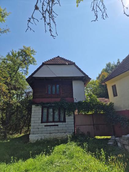 Casa de vanzare in Cristioru de Jos , jud. Bihor - 3