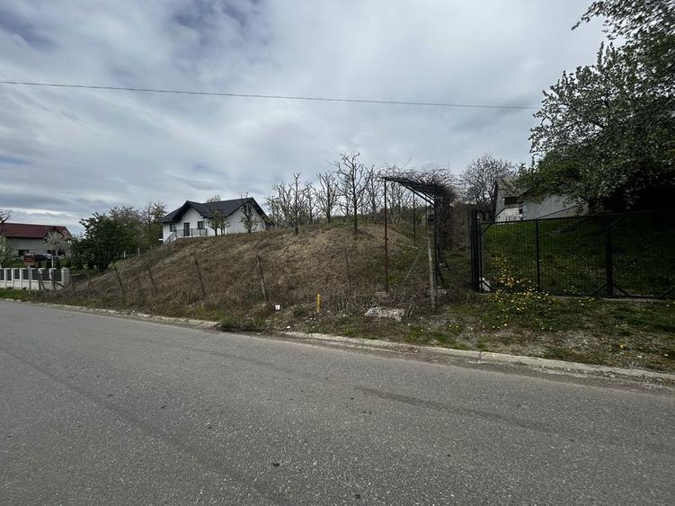Teren intravilan 3600 mp Str. Lovinescu, Radaseni, toate utilitatile - 7
