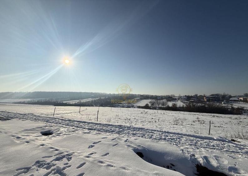 De vanzare Teren Intravilan Viile Satu Mare 1439 MP/ZONA ... - 4