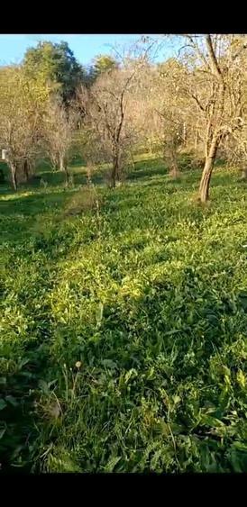 Super oferta valabila doar luna aceasta.Teren de vanzare Calimanesti - 5