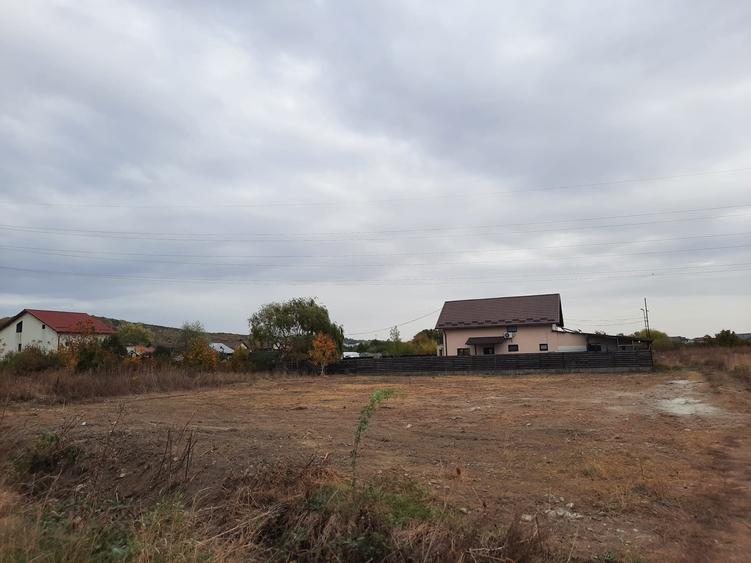 Teren intravilan, sat Viforata - 2