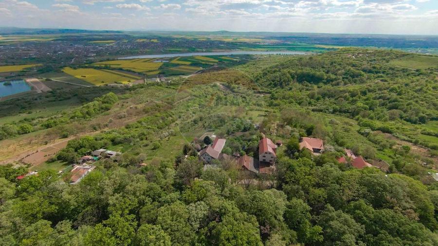 De vânzare casă și teren 1.425 mp - Podgoria - 12