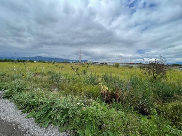 Teren 3436mp Sanpetru! - 2