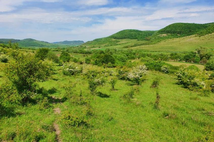 Teren extravilan superb în satul Ciumăfaia, comuna Borșa, Cluj.  - 1