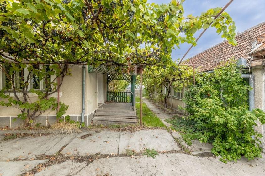 Casa spatioasa in Pancota ideala pentru doua familii - 21