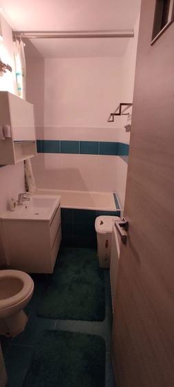 De inchiriat apartament cu 1 camera 240 euro - 8