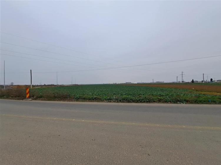 RECO teren intrare Chiribis - 3