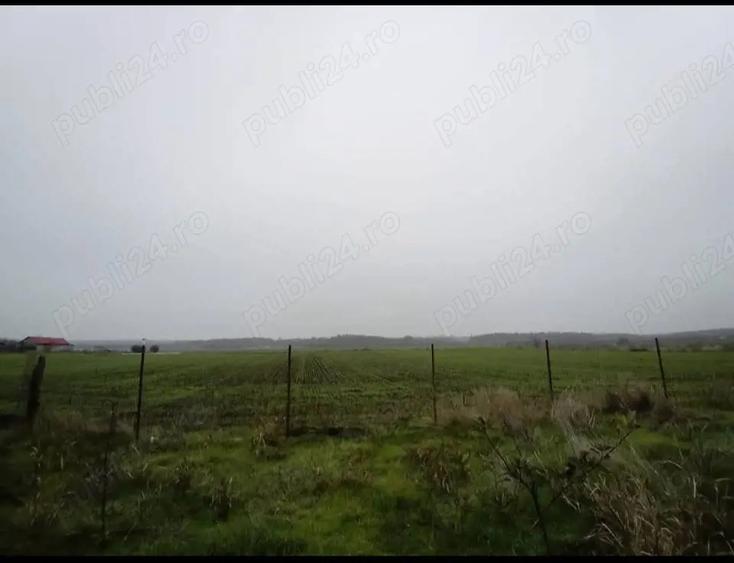 Casa + 1700 m teren in Vitane?ti, Teleorman 35.000 (negociabil) - 4