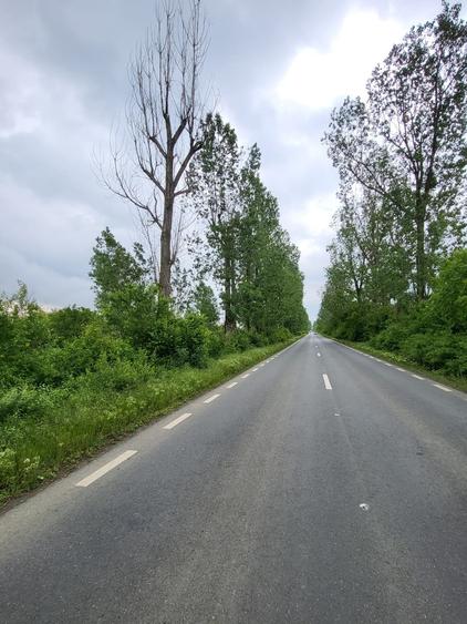 VANZARE TEREN INTRAVILAN CU DESCHIDERE DE 20 ML LA DJ SILISTEA SNAGOV - 1