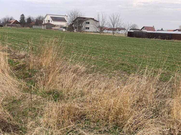 Teren de vanzare Stupini - 1